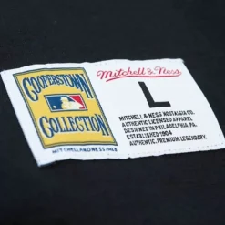 Legendary Slub Henley San Francisco Giants