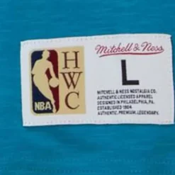 Legendary Slub S/S Tee Charlotte Hornets