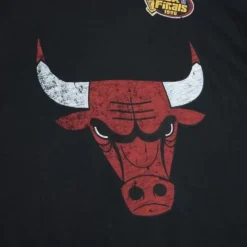 Legendary Slub S/S Tee Chicago Bulls