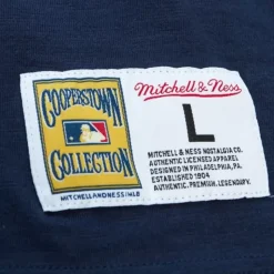 Legendary Slub S/S Tee Detroit Tigers