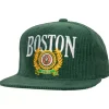 Levelz Snapback Hwc Boston Celtics