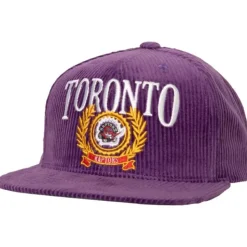 Levelz Snapback Hwc Toronto Raptors