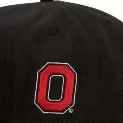 Lifestyle Fitted Hat Ohio State