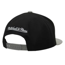 Logo Bill Snapback Brooklyn Nets