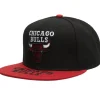 Logo Bill Snapback Chicago Bulls