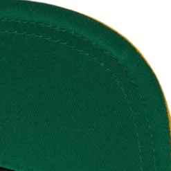 Logo Bill Snapback Hwc Houston Rockets