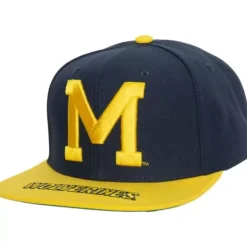 Logo Bill Snapback University Of Michigan