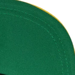 Logo Bill Snapback University Of Michigan