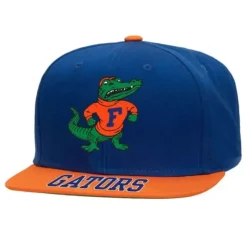 Logo Bill Snapback University Of Florida