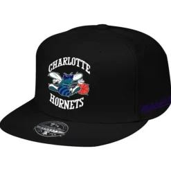 Logo History Fitted Hwc Charlotte Hornets