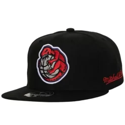 Logo History Fitted Hwc Toronto Raptors