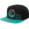 Low Big Face Snapback Hwc Vancouver Grizzlies