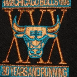 Make Cents Snapback Chicago Bulls