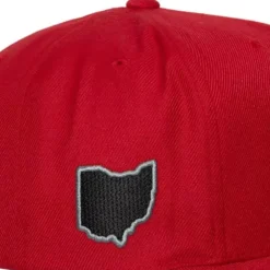 Mellow Fall Snapback Ohio State