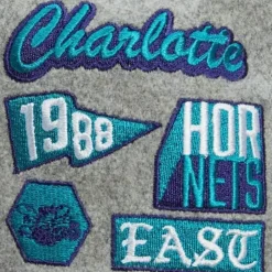 Melton Patch Snapback Hwc Charlotte Hornets
