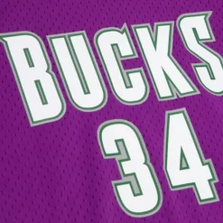 Mesh N&N Crew Milwaukee Bucks 2000-01 Ray Allen