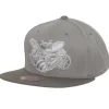 Metallic Grey Snapback Hwc Charlotte Hornets