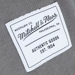 Mitchell & Ness Essentials Fleece Shorts