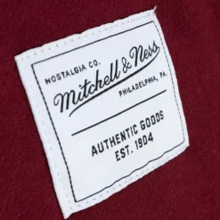 Mitchell & Ness Essentials Fleece Shorts