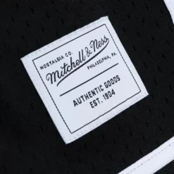 Mitchell & Ness Game Day 2.0 Shorts