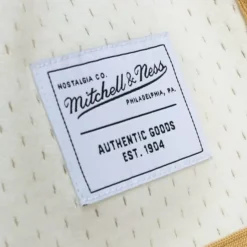 Mitchell & Ness Game Day 2.0 Shorts