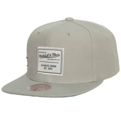 Mitchell & Ness Gameday Snapback