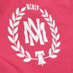 Mitchell & Ness Team Essentials Nylon Shorts