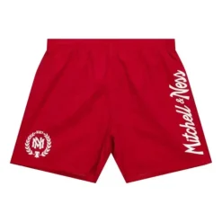 Mitchell & Ness Team Essentials Nylon Shorts
