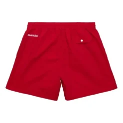 Mitchell & Ness Team Essentials Nylon Shorts