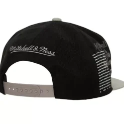 Mitchell & Ness Team Origins Snapback