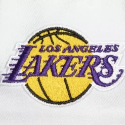 M&N X Glco Two Tone Snapback Los Angeles Lakers Kurt Rambis