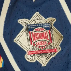 M&N X Jfg Flame Shorts Chicago Cubs