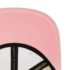 M&N X Joe Freshgoods Snapback