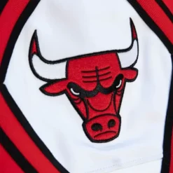 M&N X Just Don Pants Chicago Bulls