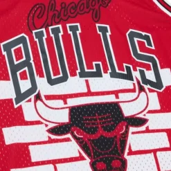 M&N X Nba X Tats Cru Jersey Chicago Bulls