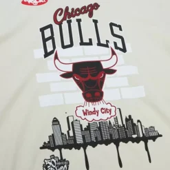 M&N X Tats Cru City Tee Chicago Bulls