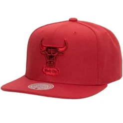 Monochromatic Snapback Hwc Chicago Bulls