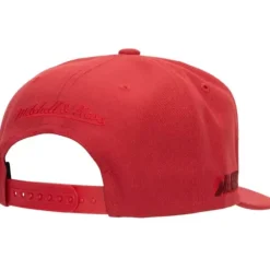 Monochromatic Snapback Hwc Portland Trail Blazers