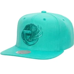 Monochromatic Snapback Hwc Vancouver Grizzlies