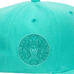Monochromatic Snapback Hwc Vancouver Grizzlies