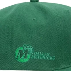 Monochromatic Snapback Hwc Dallas Mavericks