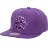 Monochromatic Snapback Hwc Toronto Raptors