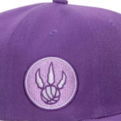 Monochromatic Snapback Hwc Toronto Raptors