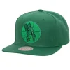 Monochromatic Snapback Hwc Boston Celtics