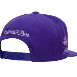 Monochromatic Snapback Hwc Los Angeles Lakers