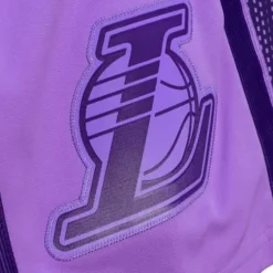 Monochrome Swingman Los Angeles Lakers 2009-10 Shorts