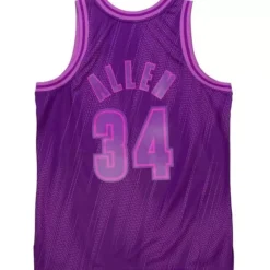 Monochrome Swingman Ray Allen Milwaukee Bucks 2000-01 Jersey