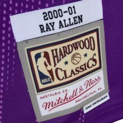 Monochrome Swingman Ray Allen Milwaukee Bucks 2000-01 Jersey
