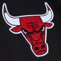 Mvp 2.0 Track Jacket Chicago Bulls