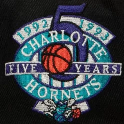 My Squad Snapback Hwc Charlotte Hornets